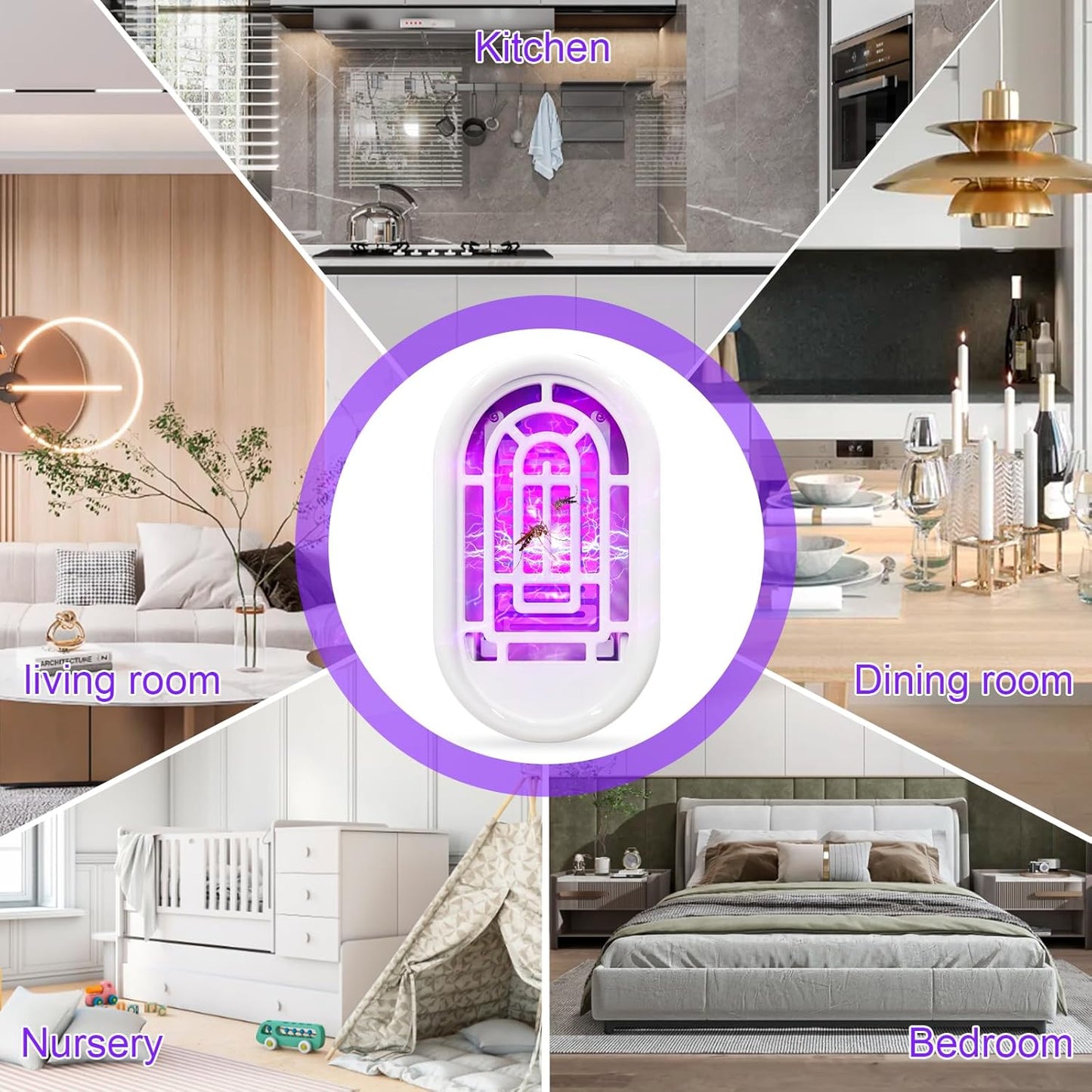 Dispositif Anti-Insecte pour une Maison Paisible