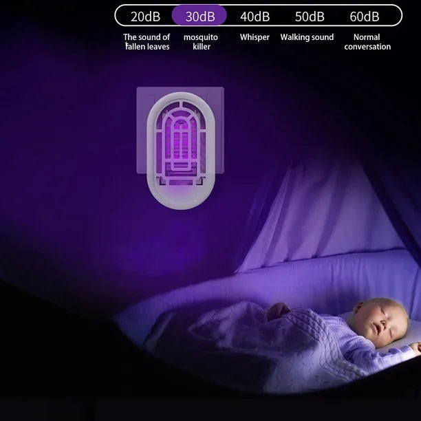 Dispositif Anti-Insecte pour une Maison Paisible