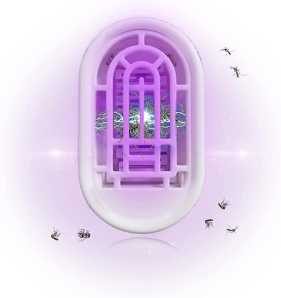 Dispositif Anti-Insecte pour une Maison Paisible