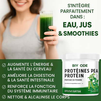 Biy Ode Organic Pea Protein Powder