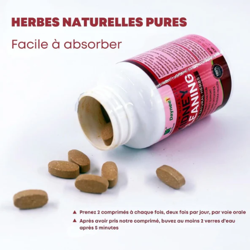 Herbes Naturelles pour Soutenir la Santé des Reins
