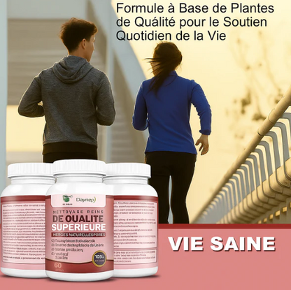 Herbes Naturelles pour Soutenir la Santé des Reins