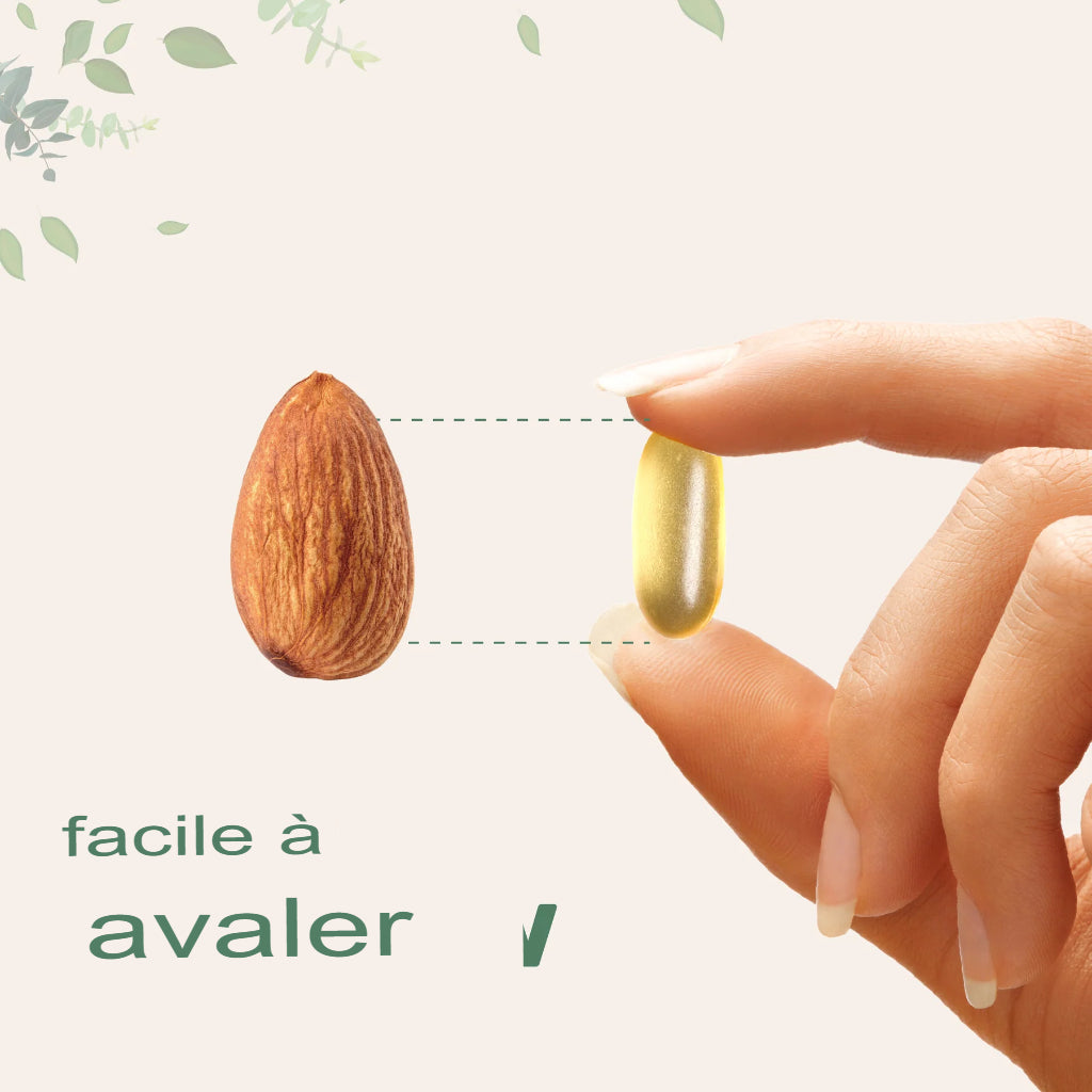 Huile de poisson Omega 3 de qualité supérieure