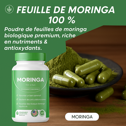 Capsule Feuille Protéine Végétale Moringa