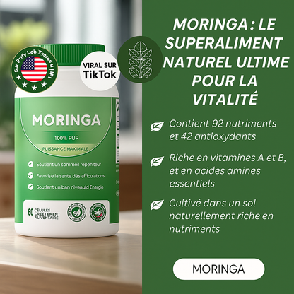 Capsule Feuille Protéine Végétale Moringa