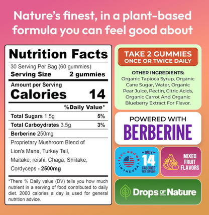 Mushroom Gummies-Énergie Longue Durée