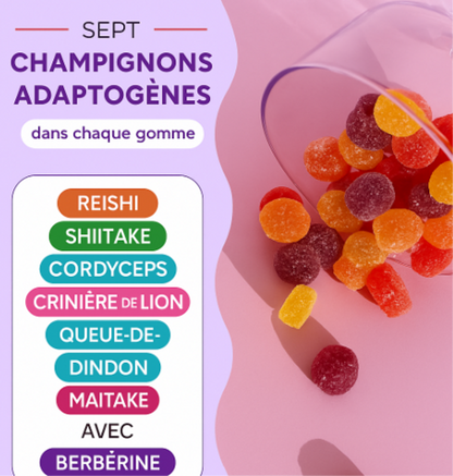 Mushroom Gummies-Énergie Longue Durée